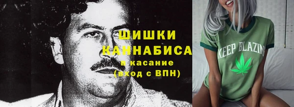 spice Арсеньев