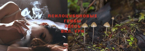 скорость Алексин