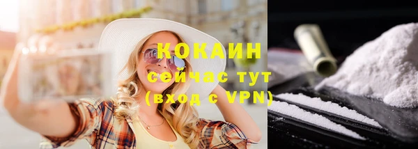 дживик Аркадак