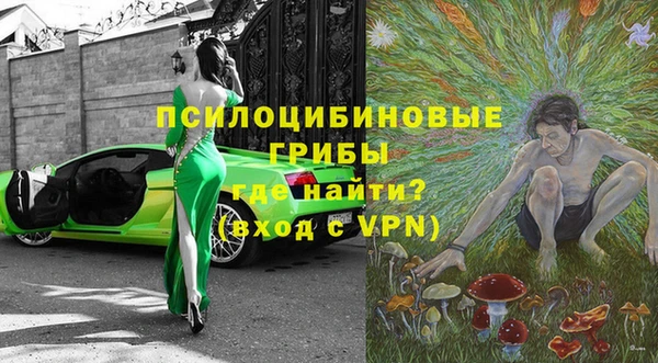 дживик Аркадак