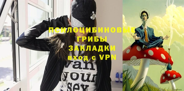 винт Армянск